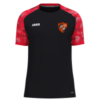 T-Shirt Sonic mit Wappen, Rückseite und Initialen